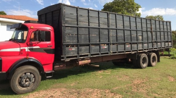 Pol�cia Civil esclarece furto de gado ocorrido em Junqueir�polis