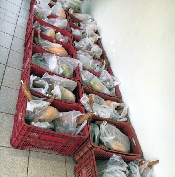 Prefeitura de Flrida Paulista entrega kits de hortifruti