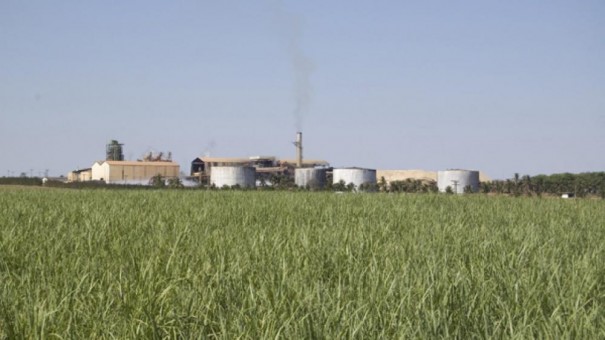 Usina Calif�rnia oferece R$5 mil para quem identificar autores de inc�ndios criminosos em seus canaviais 