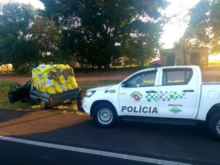 Polícia Ambiental apreende 660 quilos de carvão vegetal sem comprovação de origem em Martinópolis