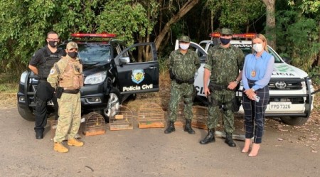 Polícias Civil e Militar realizam soltura de pássaros silvestres em Adamantina