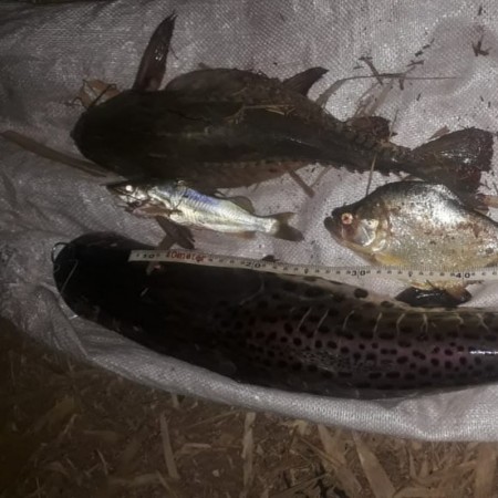 Polícia Ambiental autua 4 pessoas em mais de R$ 6 mil por pesca irregular no Parque Estadual do Rio do Peixe