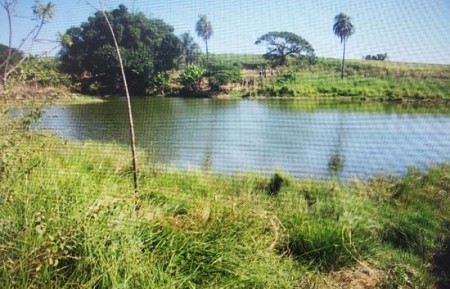 Homem de 47 anos morre afogado em lagoa de propriedade rural as margens da Tupã - Queiroz