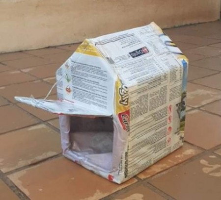 Voluntários fazem 'casinhas' de papelão para aquecer animais de rua em Tupã