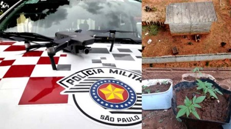 Com ajuda de drone Polícia Militar localiza pés de maconha em residência de Parapuã