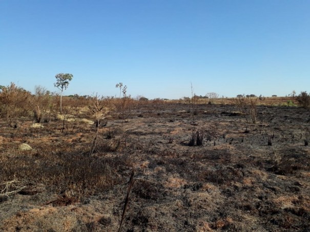 Pol�cia Ambiental constata degrada��o com uso de fogo e aplica um total de R$ 158,6 mil em multas