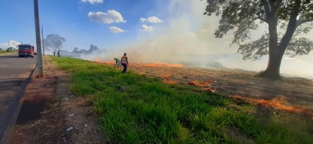 Incêndio em 5 mil m² de pastagem mobiliza Corpo de Bombeiros e a Defesa Civil em Martinópolis