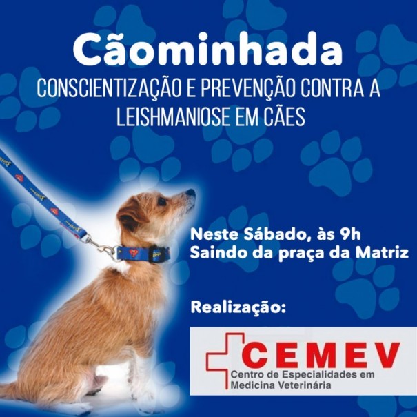 Cemev realiza Cominhada de conscientizao e preveno da Leishmaniose em Osvaldo Cruz