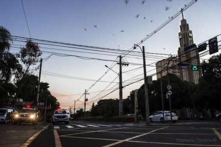 Diante da pandemia de Covid-19 e da alta exposição a contágio, novas diretrizes de afastamento de agentes são estabelecidas pela Polícia Militar