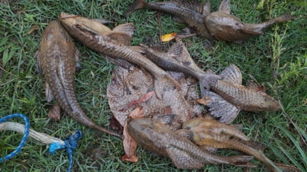 Homem � autuado em Fl�rida Paulista por pesca no per�odo de piracema