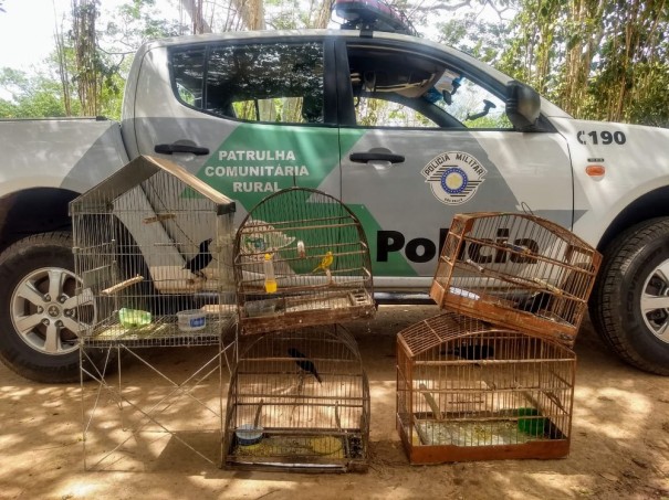 Pol�cia Ambiental resgata cinco aves silvestres mantidas em cativeiro e multa homem em R$ 2,5 mil