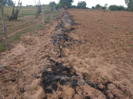 Uso de fogo em área de pastagem e poda drástica de árvores nativas rendem advertências a donos de sítios