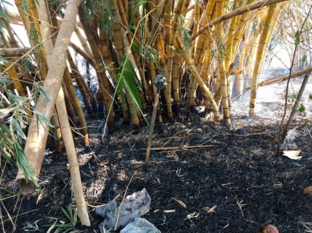 Polícia Ambiental autua homem em quase R$ 39 mil por uso de fogo em áreas agropastoril e de preservação permanente