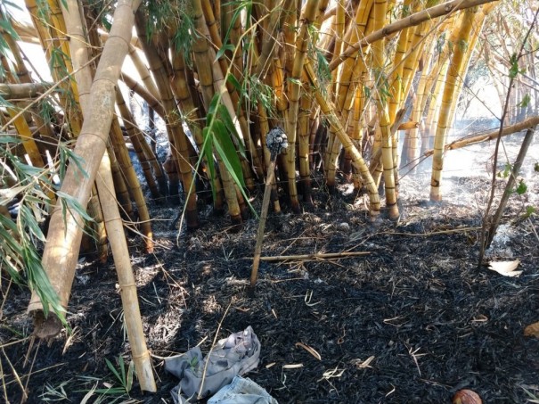 Pol�cia Ambiental autua homem em quase R$ 39 mil por uso de fogo em �reas agropastoril e de preserva��o permanente
