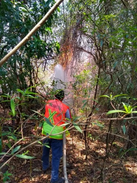 Defesa Civil alerta para riscos de incêndios criminosos em período de seca