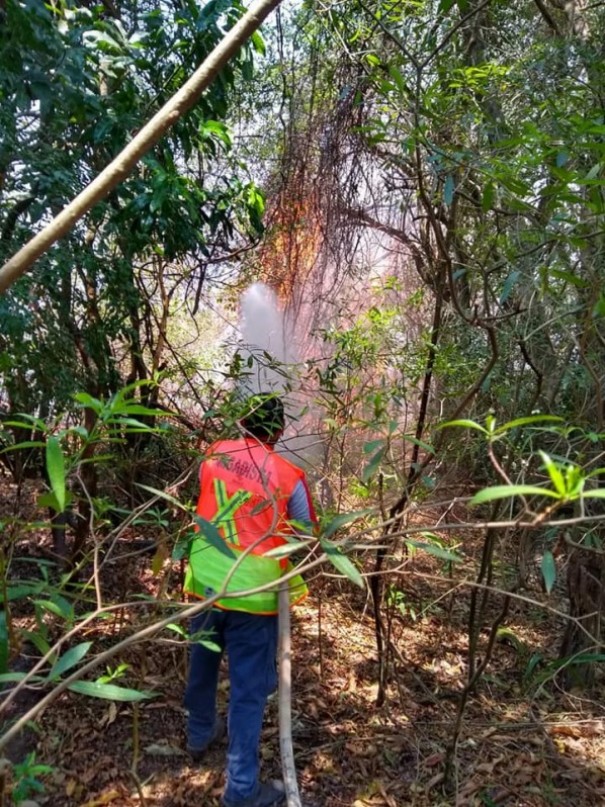 Defesa Civil alerta para riscos de incndios criminosos em perodo de seca