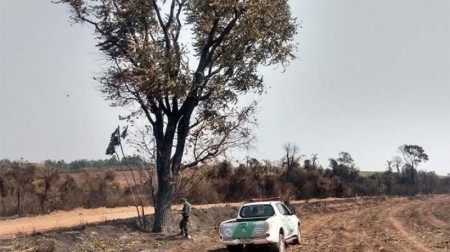 Queimada em propriedade rural de Bastos resulta em multa de quase R$ 200 mil