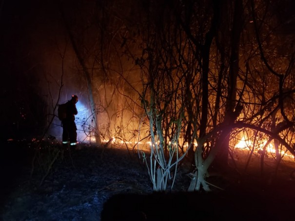 Aps quase 24 horas, incndio em mata nas proximidades da SP-294 em OC  contido 
