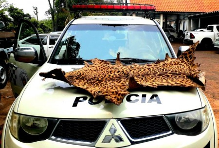 Polícia Militar Ambiental apreende couro de onça-pintada e multa homem em R$ 5 mil
