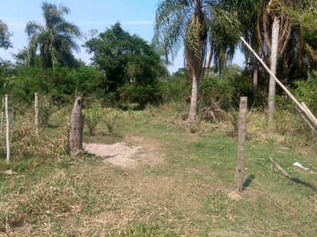 Homem é multado em R$ 11,3 mil por utilizar reserva legal para pastoreio de gado