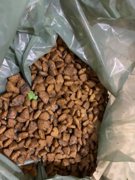 Moradora encontra vestígios de chumbinho em ração colocada para animais de rua em Tupã