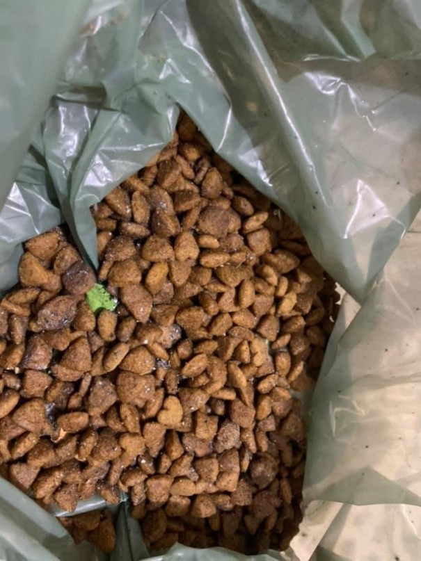 Moradora encontra vest�gios de chumbinho em ra��o colocada para animais de rua em Tup�