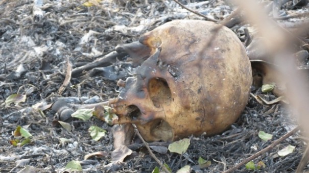 Durante combate ao fogo, funcion�rios de usina encontram ossada humana em �rea rural de Dracena