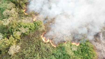 Incêndio no Parque Estadual do Aguapeí mobiliza Corpo de Bombeiros pelo 5º dia consecutivo