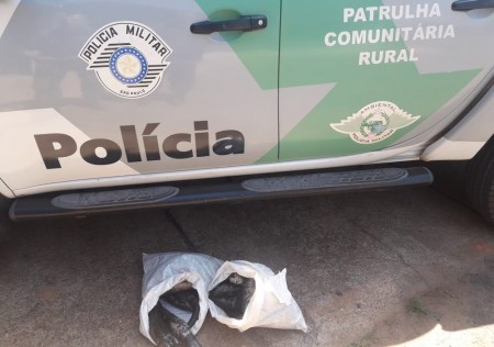 Casal recebe multa de quase R$ 1 mil por transporte de pescado sem comprovação de origem