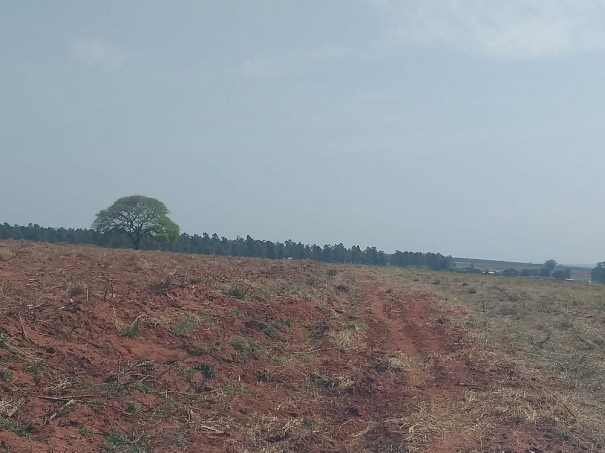 Pol�cia Ambiental multa fazendo em R$ 33 mil em Rancharia