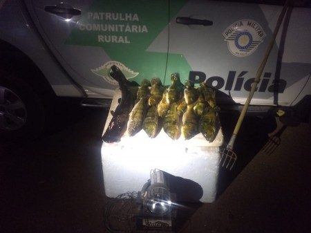 Polícia Ambiental flagra pesca irregular de 13 peixes durante fiscalização no Rio Paraná e multa pescadores