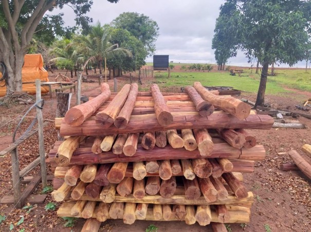 Fazendeiro recebe multa de mais de R$ 1,7 mil por manter madeira nativa em dep�sito sem documenta��o florestal