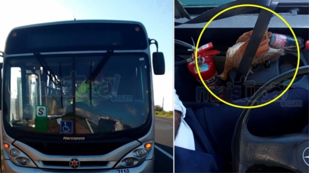 Motorista de �nibus fica ferido ap�s ser atingido por uma perdiz na SP-294