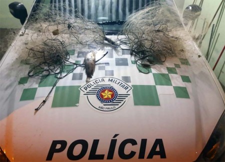 Polícia Ambiental aplica multas de R$ 4 mil por pesca proibida em Queiroz