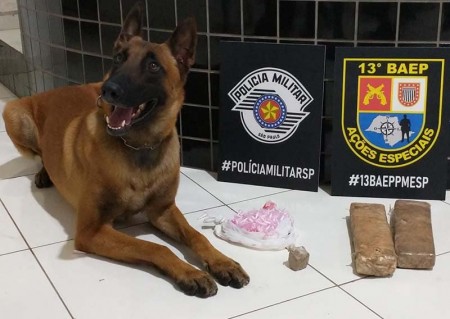 Força Tática e equipe Canil do BAEP apreendem maconha e cocaína em Tupã