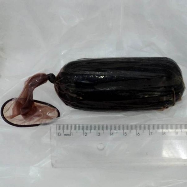 Visitantes s�o flagradas com celulares e chips escondidos no corpo na Penitenci�ria de Irapuru