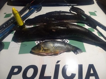 Em Panorama, rapaz é multado em R$ 1.316 por pesca com métodos não permitidos