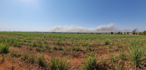 Incndio destri quase metade de reserva natural entre MS e SP e combate ao fogo entra na 'fase final'
