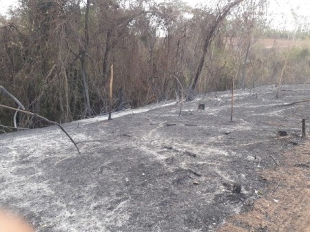 Sitiante é multado em quase R$ 21 mil pelo uso irregular de fogo em áreas de vegetação e agropastoris em Osvaldo Cruz