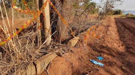 Partes de corpo humano são encontradas em sacos plásticos em Presidente Epitácio