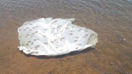 Corpo de homem é encontrado no Rio Paraná, em Panorama