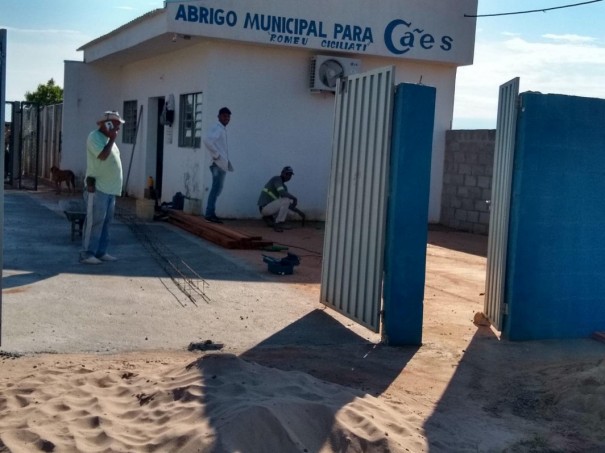 Prefeitura de OC investe em cobertura para melhoria de atendimentos na �rea externa do Canil Municipal