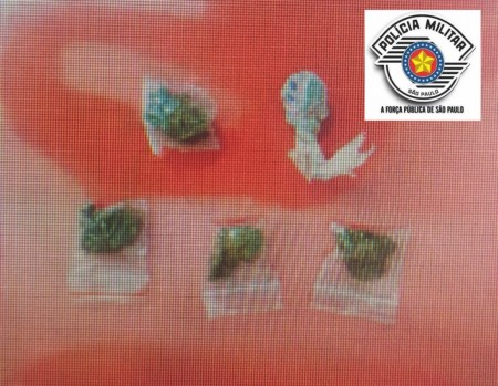 Polícia Militar surpreende dois adolescentes com maconha, em Osvaldo Cruz