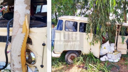 Após perder o controle da direção, motorista sai da pista e colide em pé de eucalipto na SP-294 em Parapuã