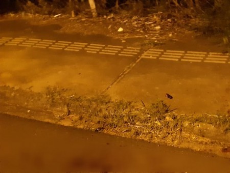 Mulher é presa em flagrante após matar o companheiro com golpe de garrafa de vidro no pescoço em Presidente Prudente