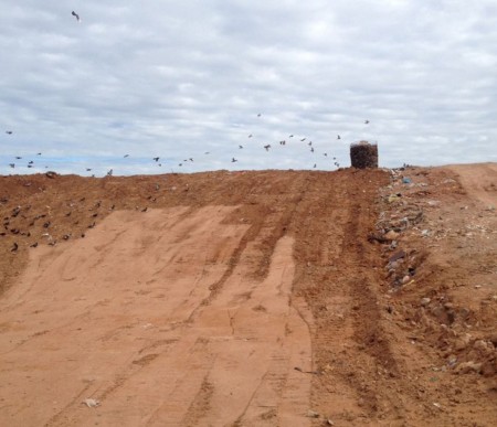 Vigia de aterro sanitário é rendido por ladrão e agredido com 'coronhada', em Presidente Prudente