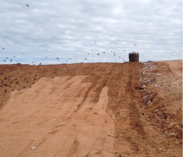 Vigia de aterro sanit�rio � rendido por ladr�o e agredido com 'coronhada', em Presidente Prudente