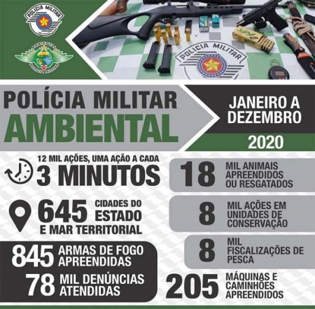 Polícia Militar Ambiental divulga resultados operacionais de 2020