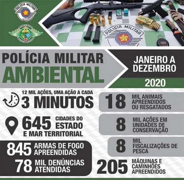 Polcia Militar Ambiental divulga resultados operacionais de 2020