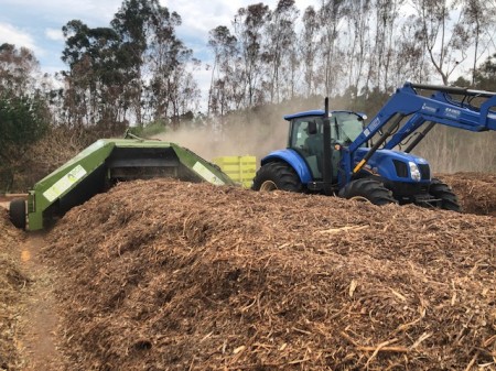 Projeto realizado pela Energisa em Adamantina está transformando a vida dos pequenos agricultores